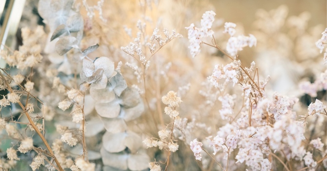 Pregnancy Massage Therapy