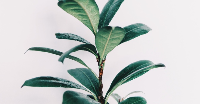 Facials - Advanced Skin Care