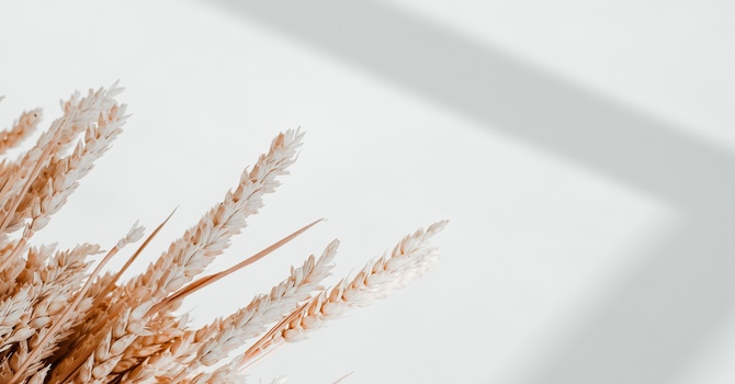 Brazilian Manual Lymphatic Drainage Massage