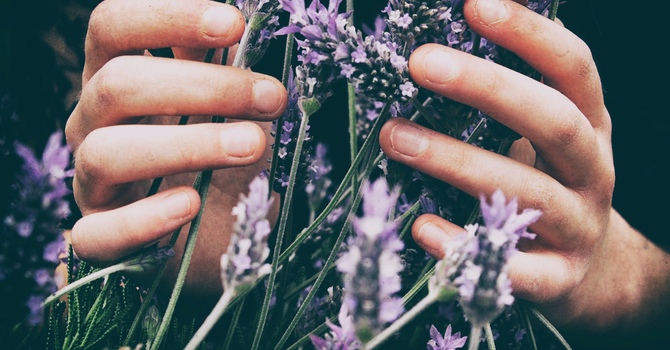 Pregnancy Massage Therapy